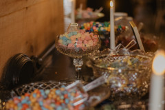 NickRissaWedding-719